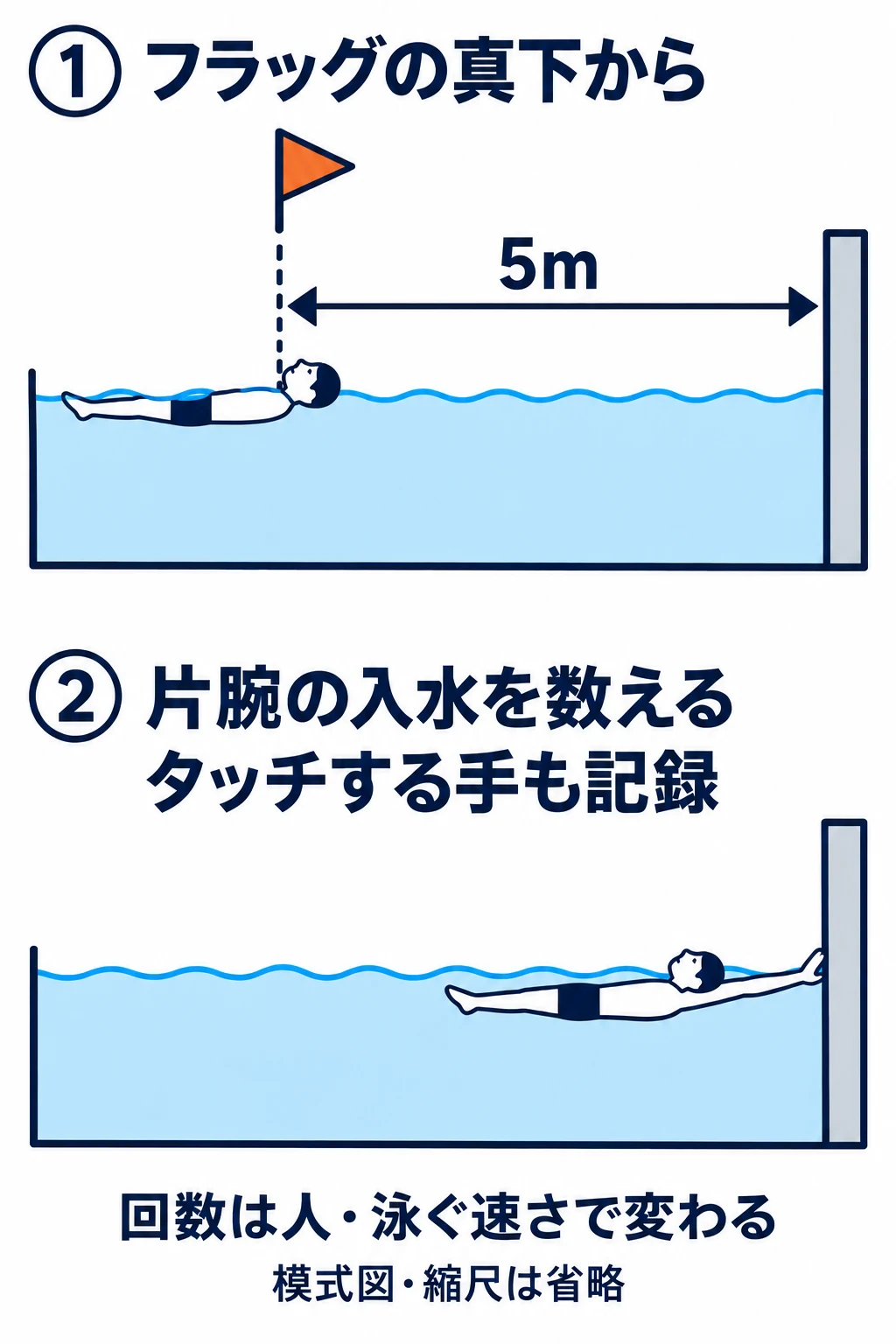フラッグ真下から壁までの5m区間と、片腕の入水回数・最後にタッチする手を確認する位置図