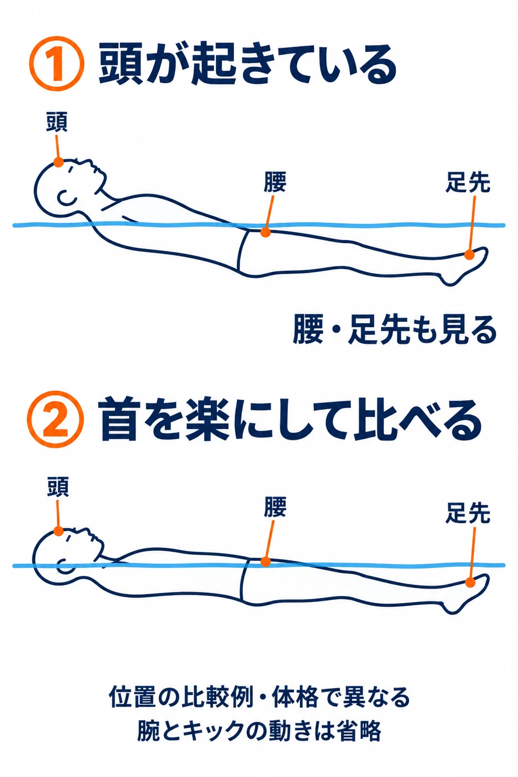 頭が起きて腰と脚が低い状態と、首を楽にして水面近くへ体を伸ばした状態を横から比べる模式図