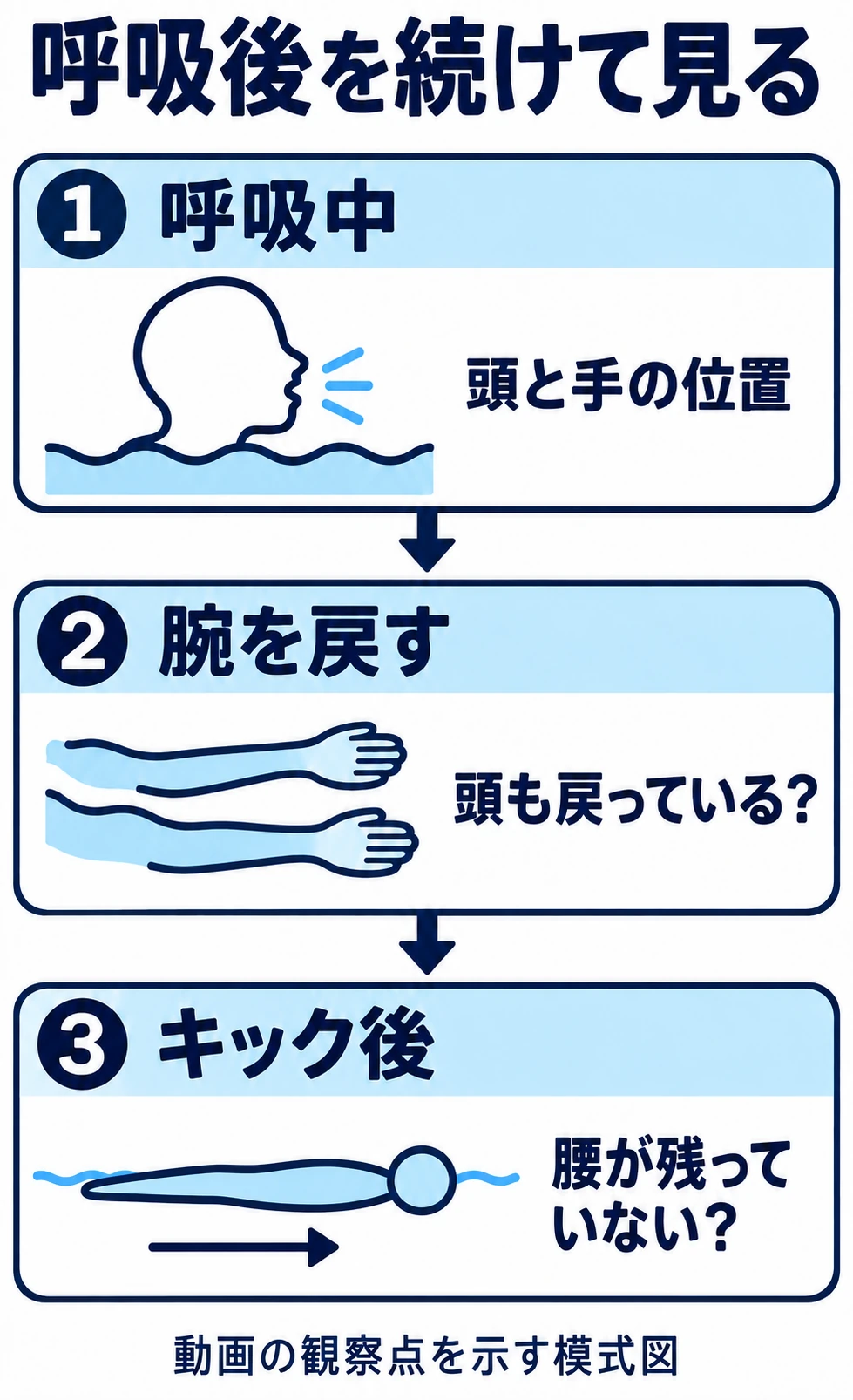 平泳ぎの呼吸後を、頭と腕が前へ戻る場面と、キック後に身体を伸ばす場面に分けて観察する図