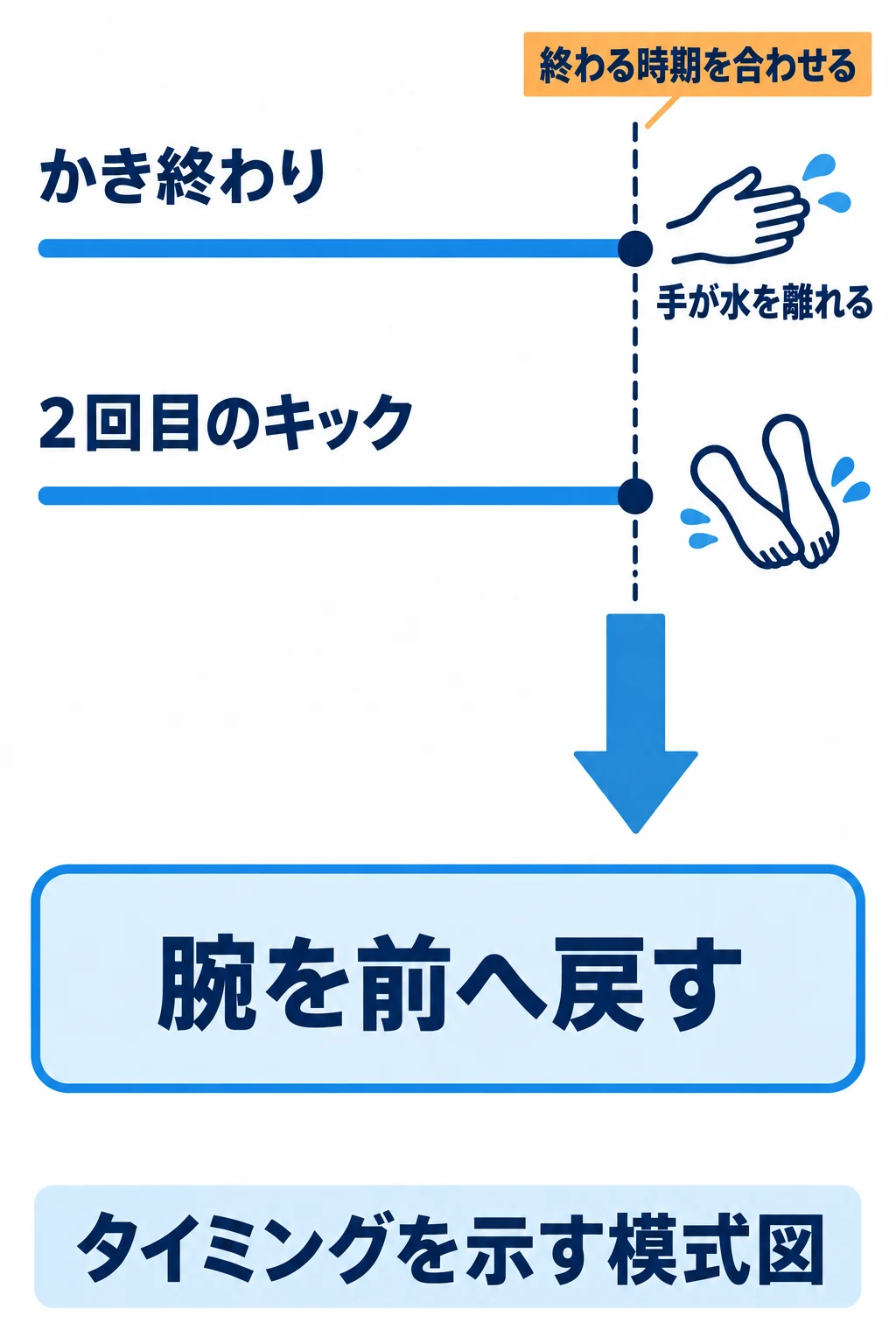 バタフライのかき終わりと2回目のキックの終わりを合わせ、その後に腕を前へ戻すタイミングを示す図