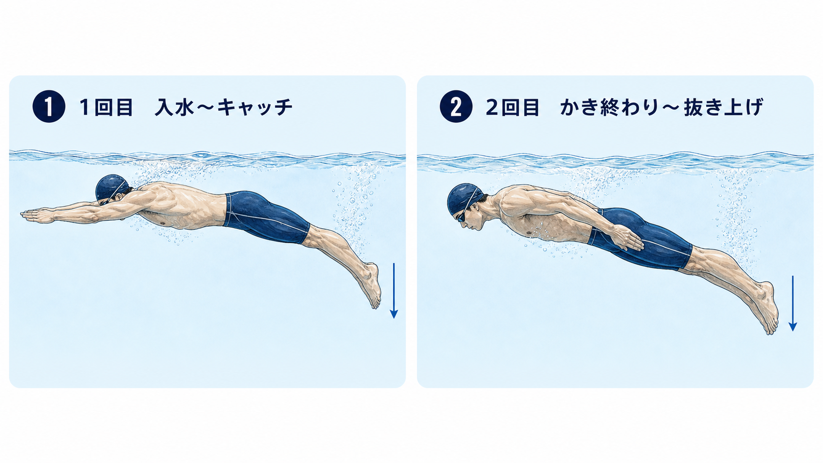 バタフライの1回目と2回目のキックを腕の動きと合わせて示した図
