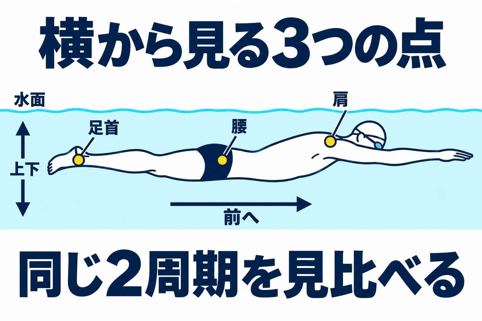 横から撮った映像に水面の線を置き、肩・腰・足首の上下と前への移動を見る観察図