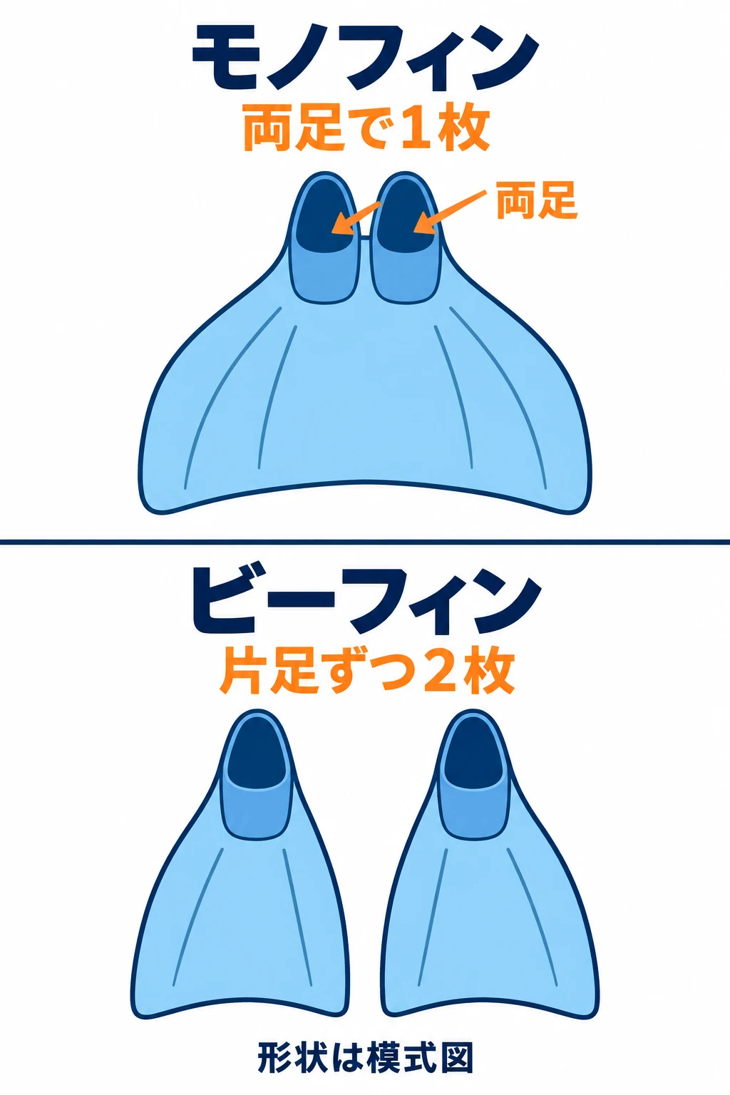 両足を1枚のブレードにつなぐモノフィンと、片足ずつ独立した2枚のビーフィンの違い
