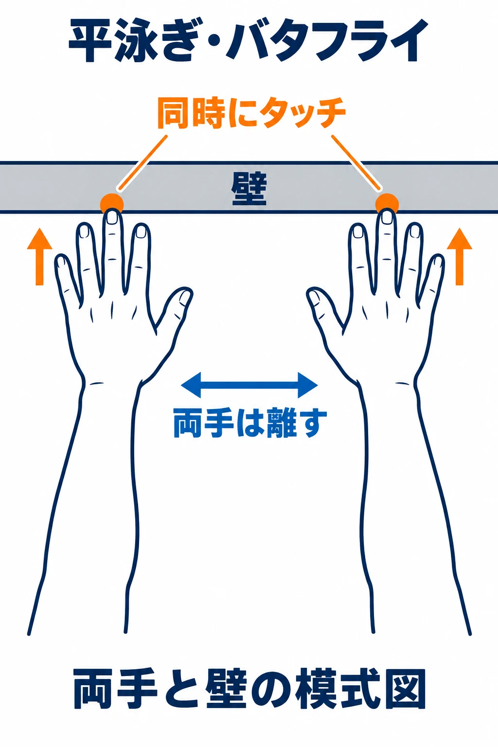 平泳ぎとバタフライで、左右の手を離したまま同時に壁へ触れる様子を上から示した図